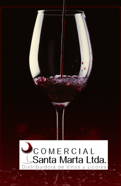 Cartel de cata de vinos simple sobre fondo negro